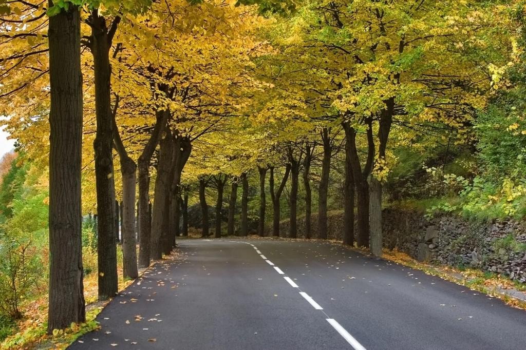 Early Fall Travel Deals You Should Book Before September