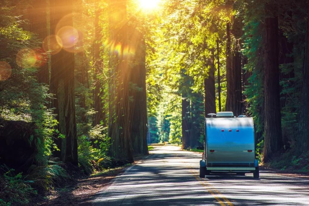 Eco-Friendly Travel Tips: How to Explore the World Responsibly
