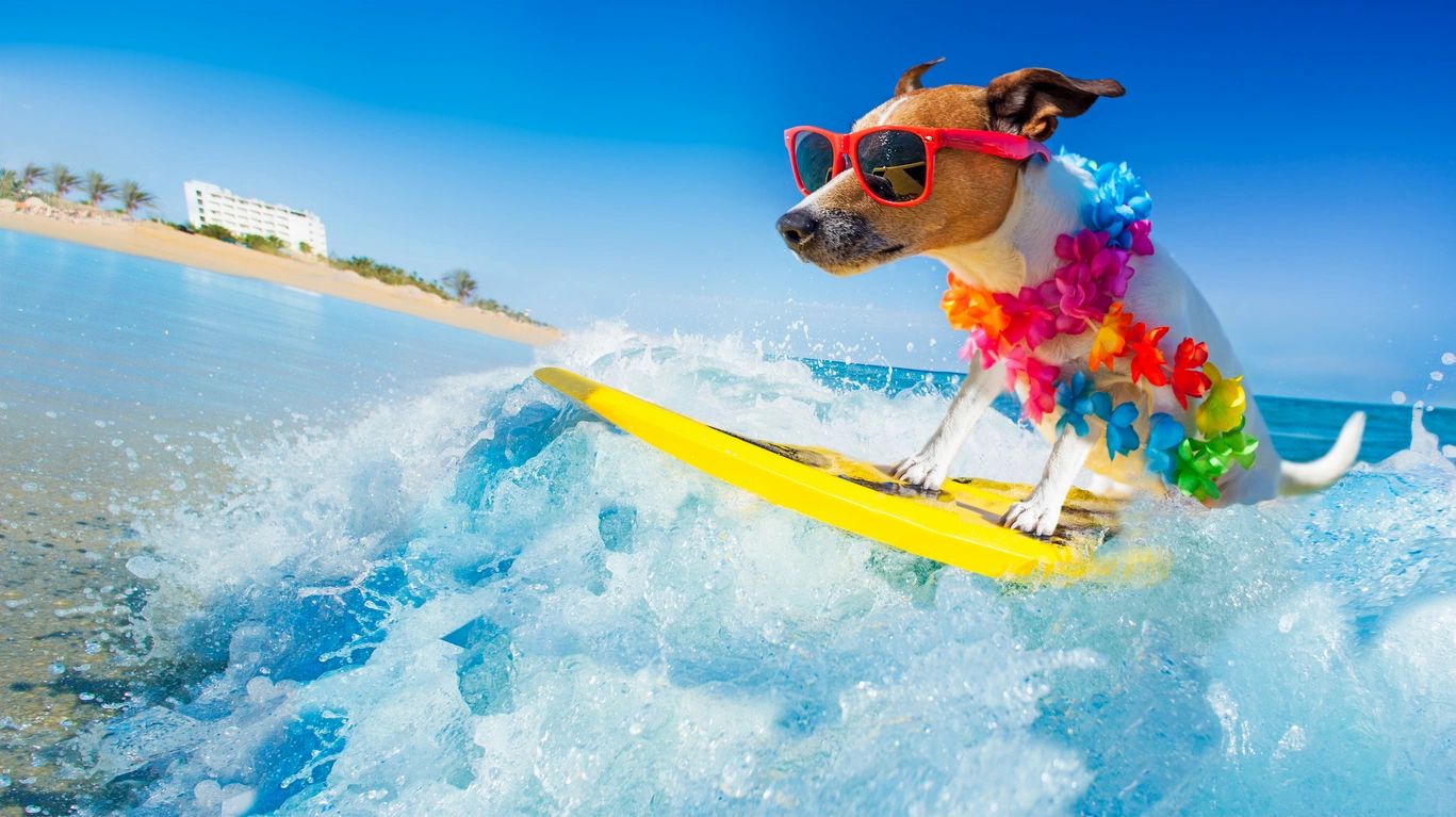 Top All-Inclusive Resorts for Family Summer Vacations